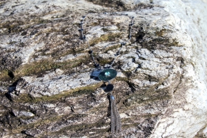 Verde Guatemala, col. argento [CL5A]